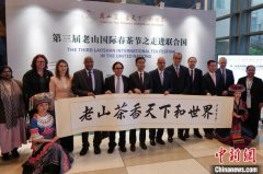 中国常驻联合国代表团举办“国际茶日”庆祝